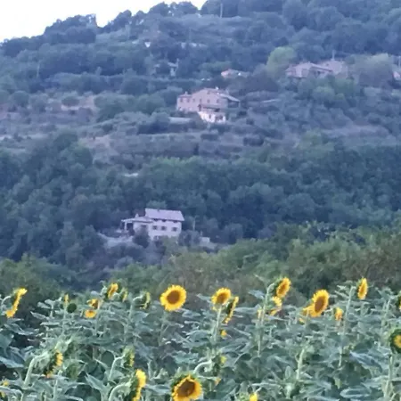 Villa Casale Napoletano Umbertide